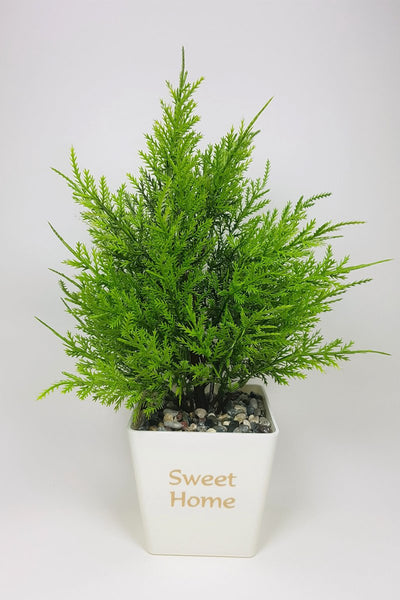 Dekor Ev Ofis Ağaç Kuşkonmaz Açık Renk 15x30cm