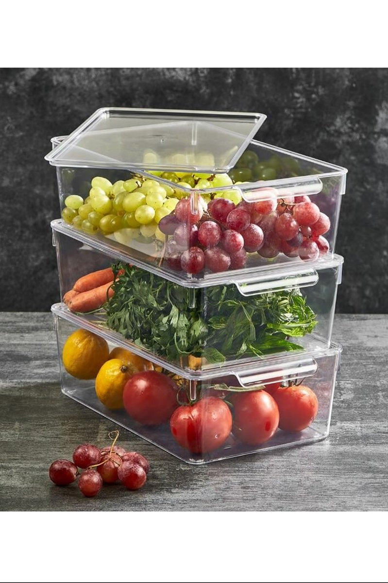 Buzdolabı Organizeri Orta Boy XL Kapaklı Royaleks-12565