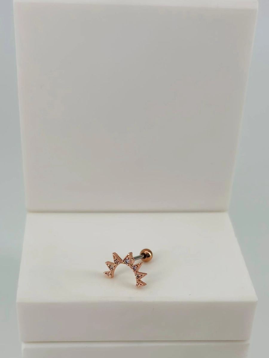 Tragus Kıkırdak Küpesi