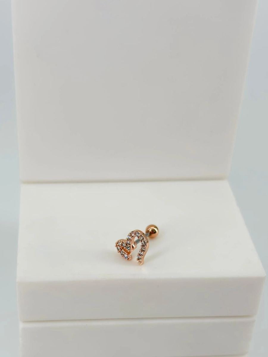 Tragus Kıkırdak Küpesi