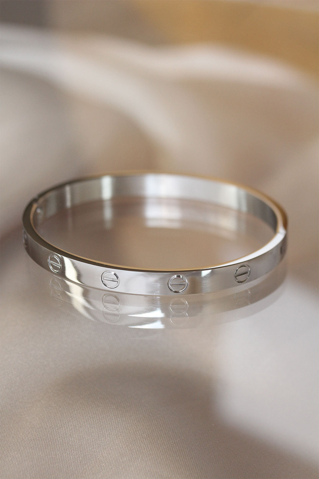 316L Çelik Silver Renk Bilezik TG27BB3569 - Çok Renkli / Standart