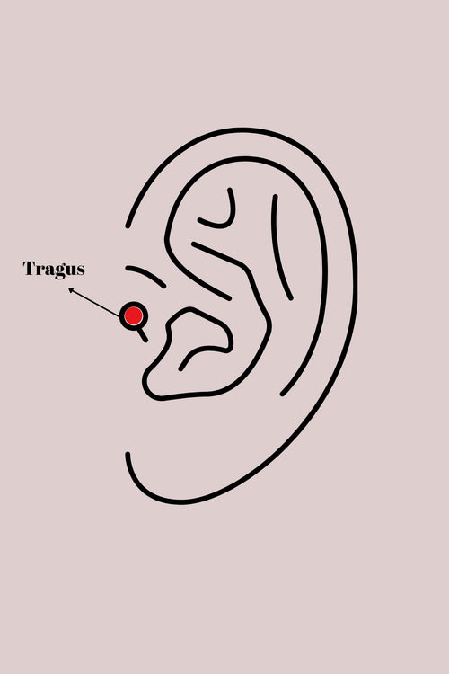 316L Çelik Gümüş Renk Üçgen Zirkon Taşlı Tragus Piercing TG27PR1239