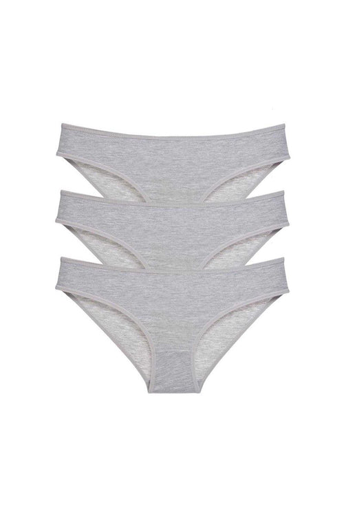 3 adet Süper Eko Set Likralı Kadın Slip Külot Gri