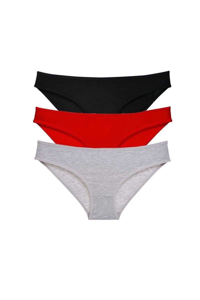 3 adet Süper Eko Set Likralı Kadın Slip Külot 540 - S