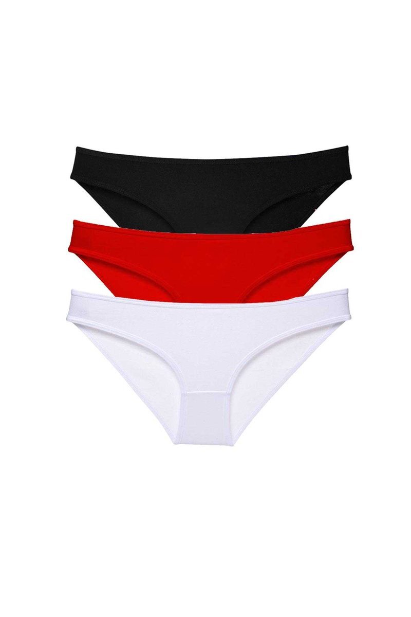 3 adet Süper Eko Set Likralı Kadın Slip Külot 535 - S
