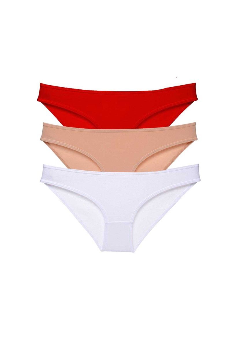 3 adet Süper Eko Set Likralı Kadın Slip Külot 541 - S