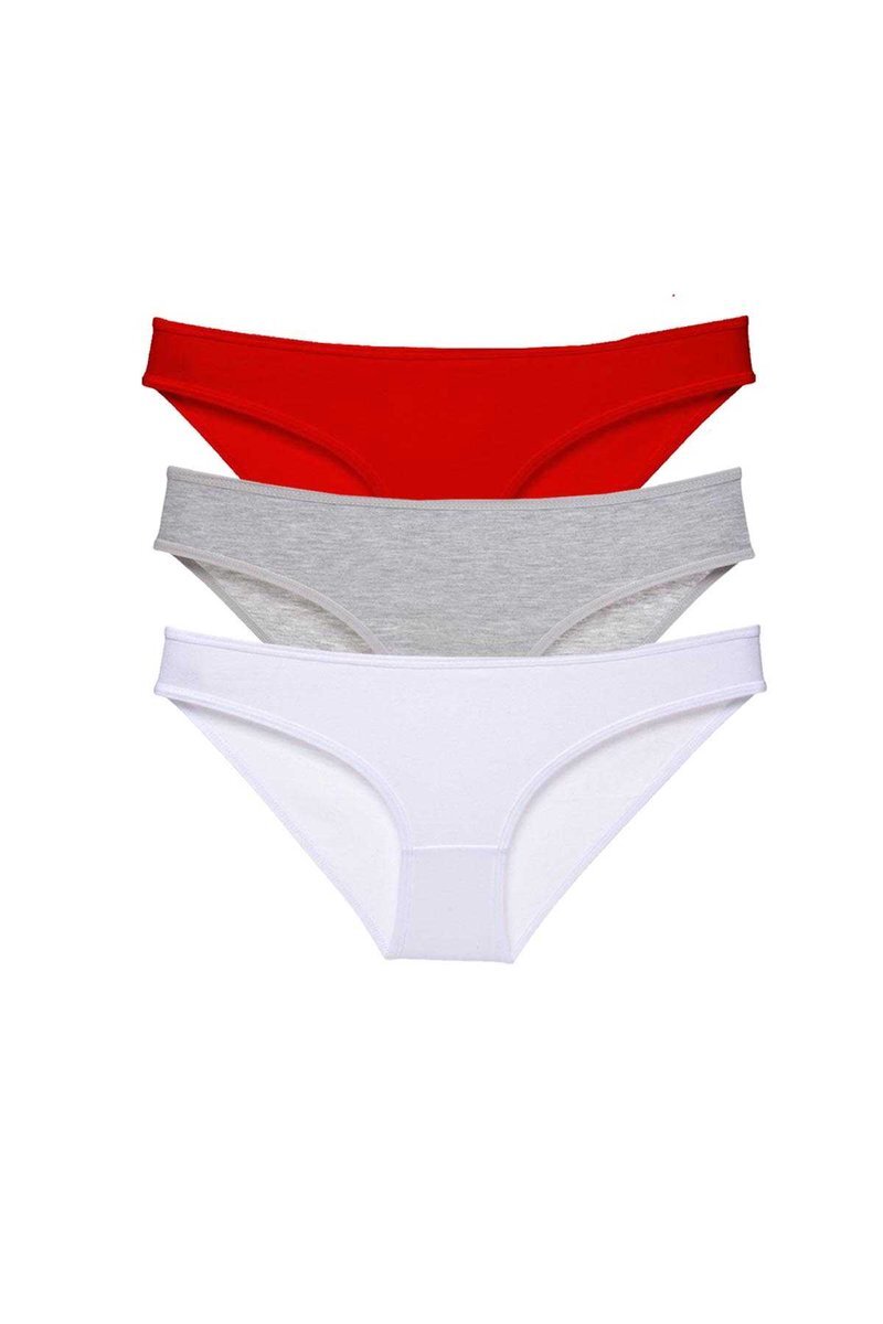 3 adet Süper Eko Set Likralı Kadın Slip Külot 542 - S