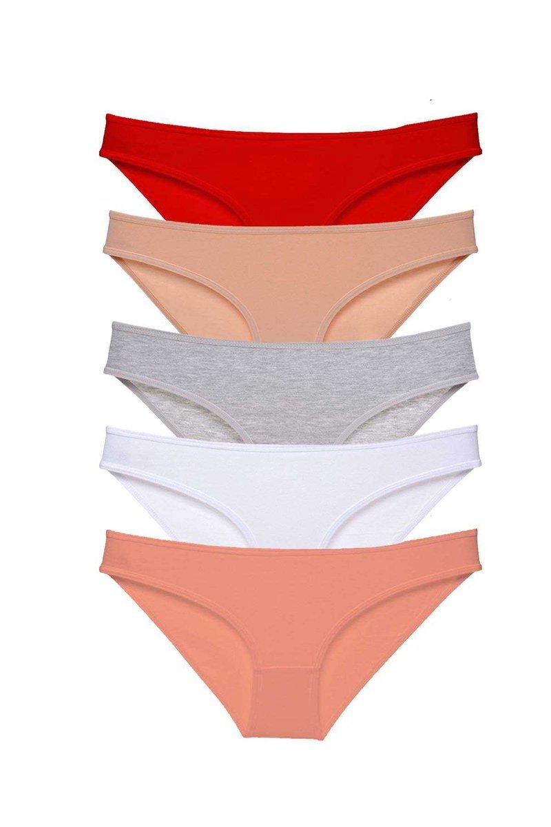 5 adet Süper Eko Set Likralı Kadın Slip Külot 523 - S