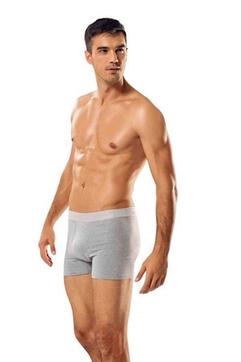 3 adet Tutku Likralı Erkek Gri Boxer 0114 - S
