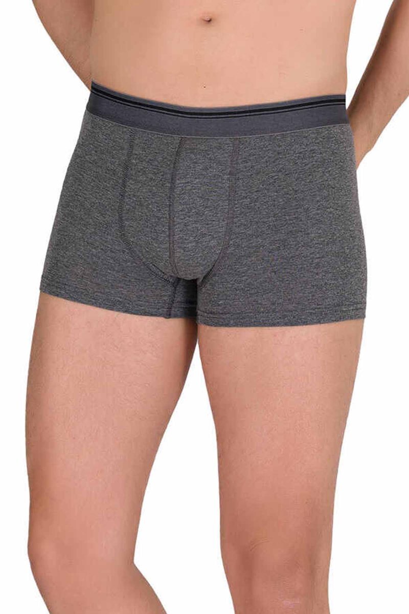 Likralı Erkek Boxer Şort Füme 1097B - S