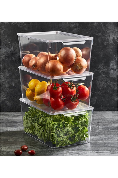 Kapaklı Büyük Boy Buzdolabı Organizeri 20x32,5x14,5 Cm XXL Royaleks-12566
