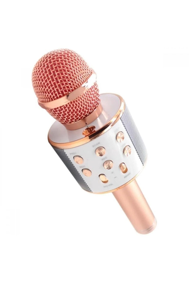 Karaoke Mikrofon WS-858 - AND01096