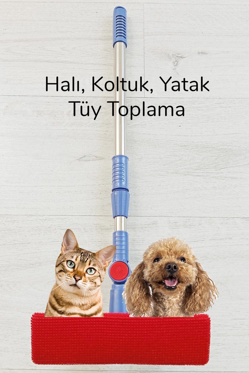 Kedi Köpek Sihirli Tüy Temizleme Fırçası 4 ü 1 Arada Döner Başlıklı