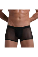 Fantezi Transparan Tül Erkek Boxer Fantezi Tanga - 4