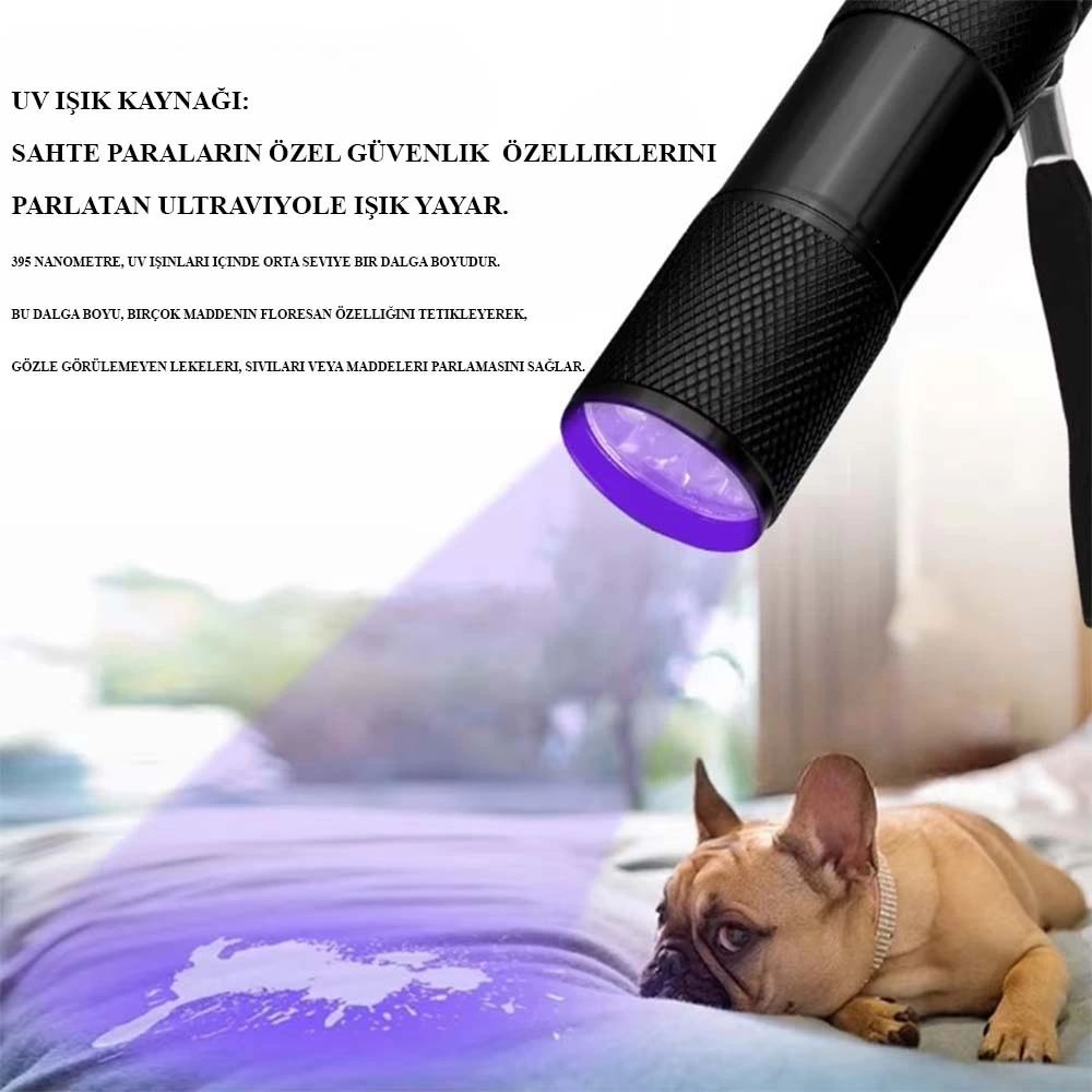 Sahte Para Işığı Ultraviole Wt-302