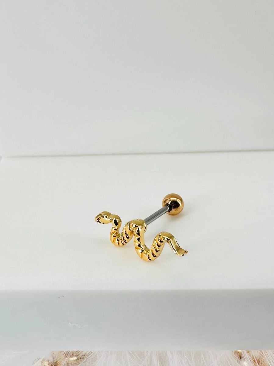 Tragus Kıkırdak Küpesi