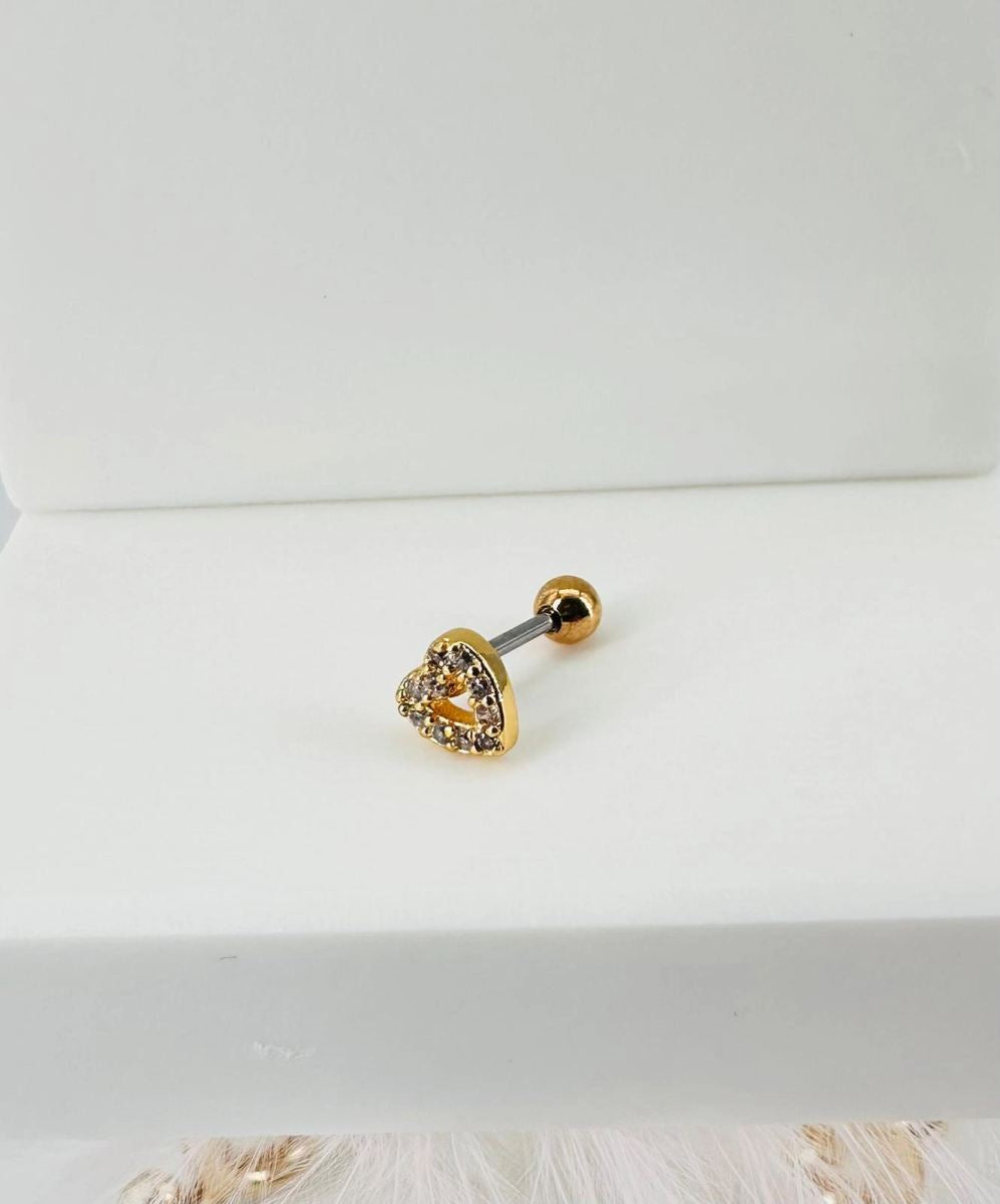 Tragus Kıkırdak Küpesi