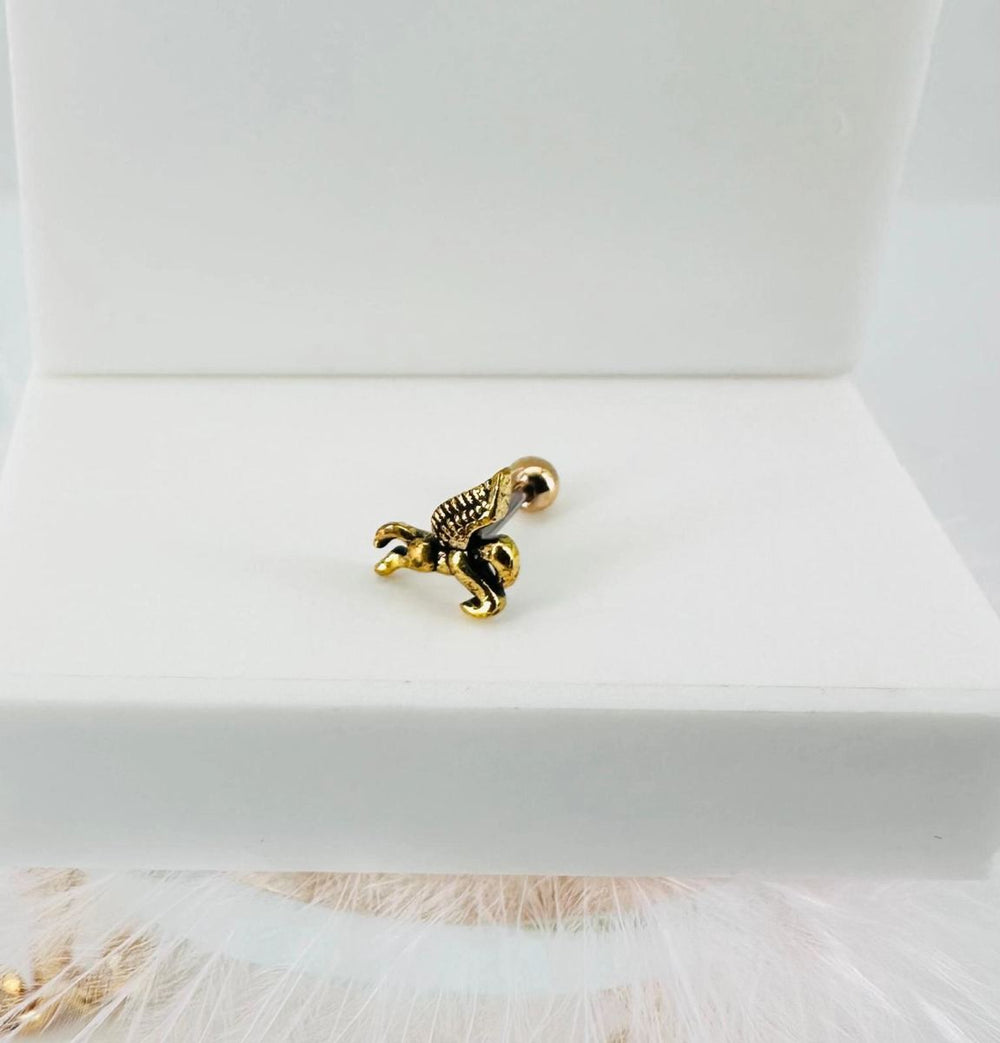 Tragus Kıkırdak Küpesi