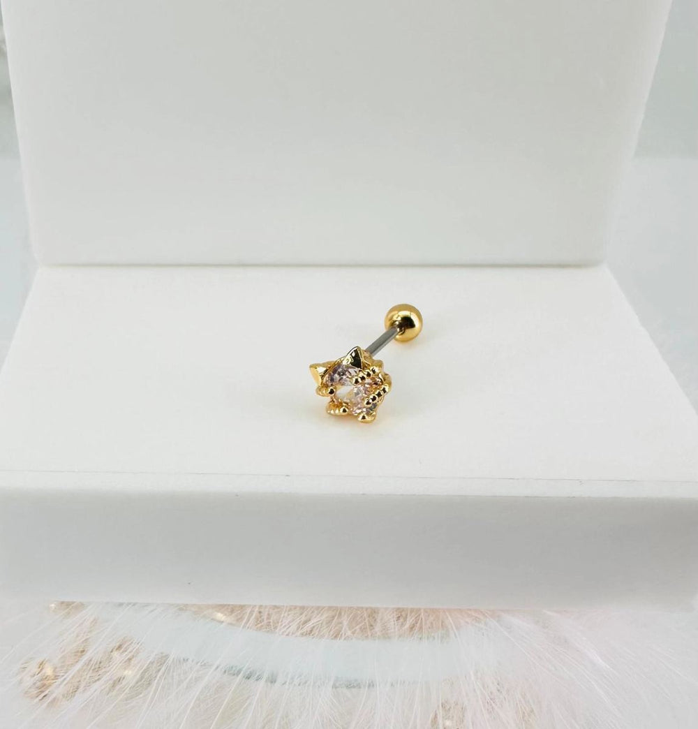 Tragus Kıkırdak Küpesi