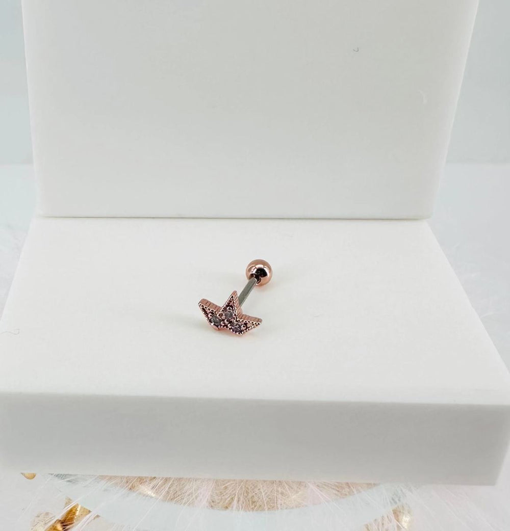 Tragus Kıkırdak Küpesi