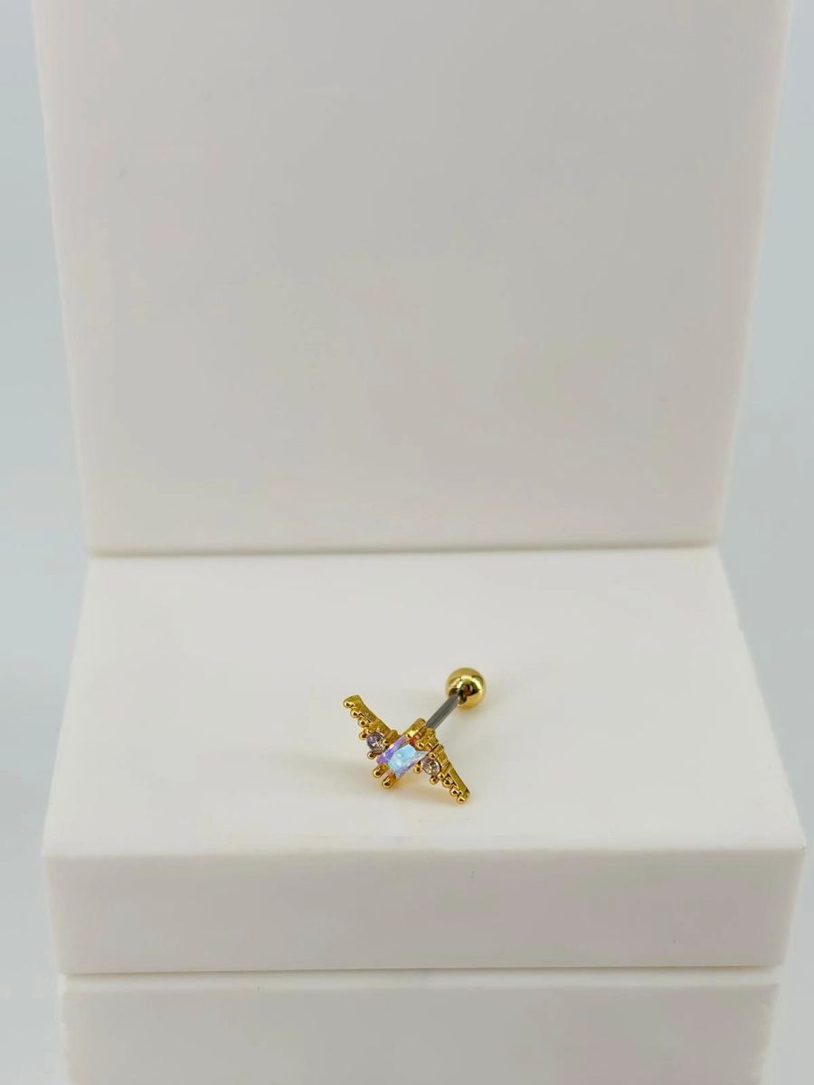 Tragus Kıkırdak Küpesi