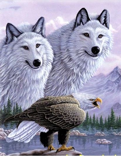 3 Boyutlu Resim Kartallı Kurt Resmi Tablosu 40x60 Cm