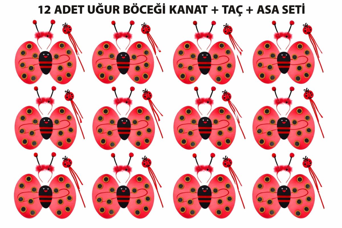Uğur Böceği Kostüm Seti - Kanat Taç Asa 3 Parça 12 Adet