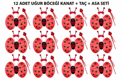 Uğur Böceği Kostüm Seti - Kanat Taç Asa 3 Parça 12 Adet