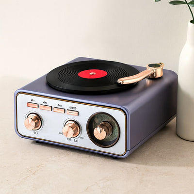 Bluetooth FM Radyo USB/MP3 Taşınabilir Hoparlör (İbreli)