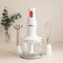 350W Blender Seti - 600ml Doğrayıcı & Mikser - 1
