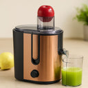 600W Katı Meyve Sıkacağı - 65mm Besleme, Çelik Filtre, 1250ml Posalı Hazne - 1