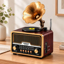 Retro Gramofon Radyo Bluetooth USB Şarjlı (AM/FM/SW) - 1