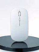Profesyonel Kablosuz Bluetooth Mouse Çift Modlu Şarjlı Ergonomik Fare - 2