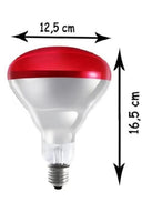 250w Kızılötesi (infrared) Isıtıcılı Fizik Tedavi Lambası (kırmızı Işık) E27 (kalın Duy) - 3
