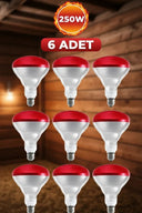 (6 Adet) 250w Kızılötesi Isıtıcılı Hayvan Isıtma Ve Kuluçka Lambası (kırmızı Işık) E27 (kalın Duy) - 1
