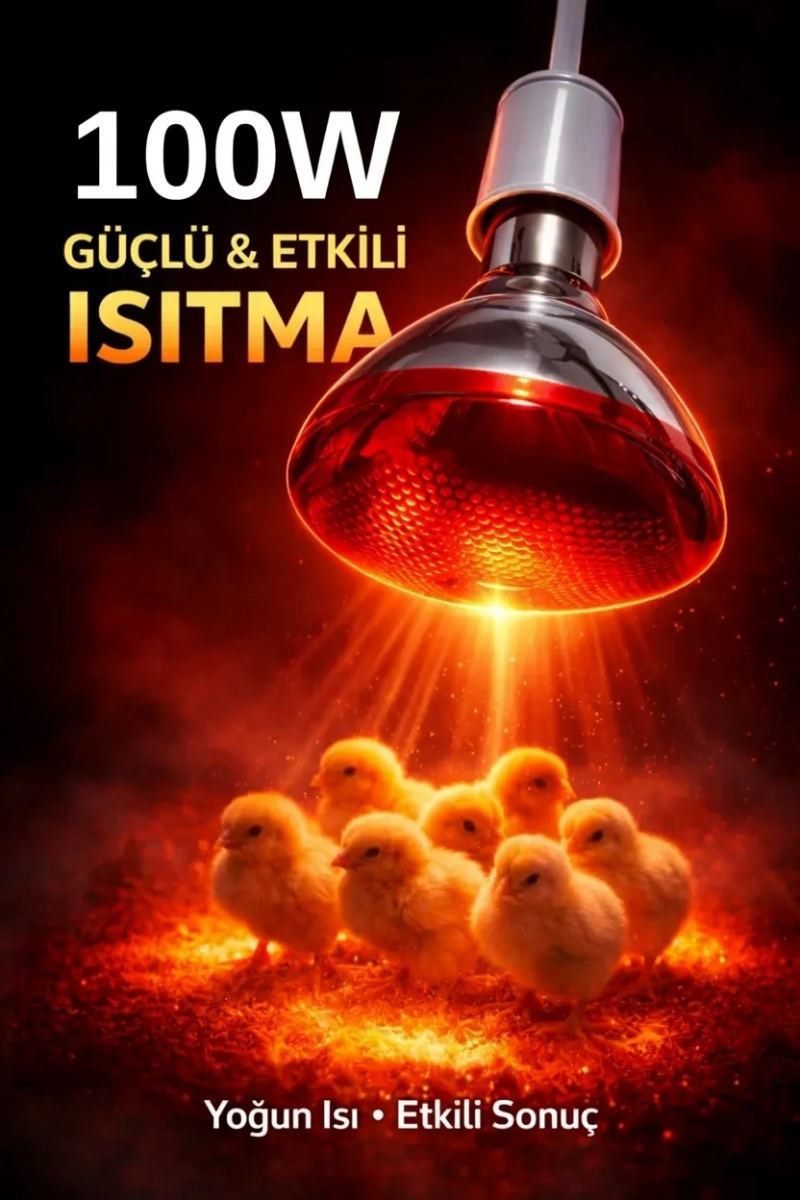 100w Isıtıcı Ampul Kırmızı Isı Lambası Civciv Kümes Kuluçka E27 Duy Isıtma Ampulü